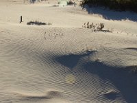 11-12-11-Assateague-2696