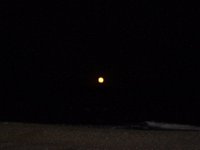 11-12-11-Assateague-2721