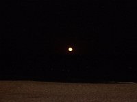 11-12-11-Assateague-2728