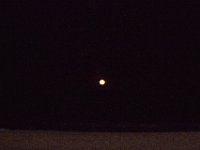 11-12-11-Assateague-2736