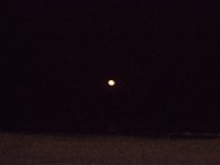 11-12-11-Assateague-2739