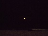 11-12-11-Assateague-2742