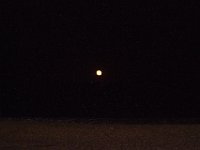 11-12-11-Assateague-2745