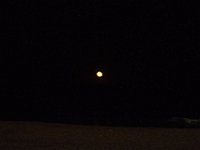 11-12-11-Assateague-2748