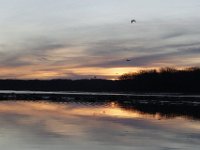 01-07-12-Mattawoman-3713
