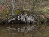 03-18-12-St Marys Lake-4043
