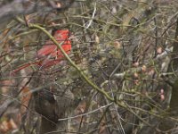 03-18-12-St Marys Lake-4053