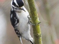 03-18-12-St Marys Lake-4061