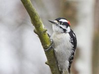 03-18-12-St Marys Lake-4067