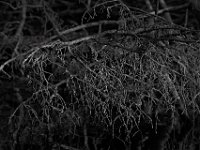 04-14-12-Rocky Gorge-5182