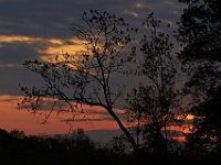 04-15-12-Piscataway-5436
