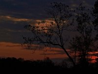 04-15-12-Piscataway-5439