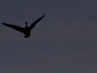 04-15-12-Piscataway