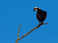 04-15-12-Piscataway-5566