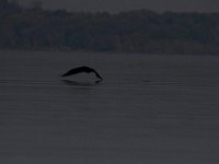 04-15-12-Piscataway-5603