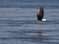 01-02-13-Conowingo Dam