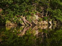 06-01-13-Rocky Gorge0447