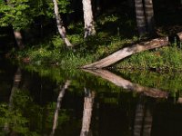 06-15-13-Rocky Gorge-0801