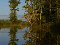 06-22-13-Piscataway-1124