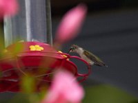 08-03-13-Piscataway-3645