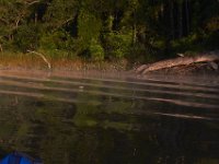 08-24-13-Nanjemoy-5020