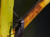 08-24-13-Nanjemoy-5458