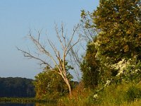 09-01-13-Mattawoman-6172