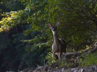 09-28-13-Rocky Gorge-8002