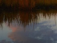 10-05-13-Nanjemoy-9035