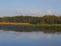 10-15-13-Mattawoman-0172