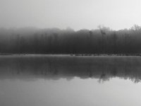 10-15-13-Mattawoman-9958