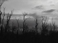 10-19-13-Piscataway-0496