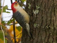 10-19-13-Piscataway-0579