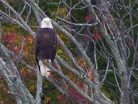 10-19-13-Piscataway-0606