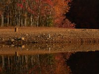 11-02-13-Rocky Gorge-1989
