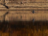 11-02-13-Rocky Gorge-2127