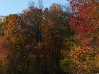 11-02-13-Rocky Gorge-2134