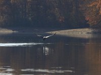 11-02-13-Rocky Gorge-2156