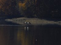 11-02-13-Rocky Gorge-2158
