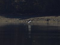11-02-13-Rocky Gorge-2161