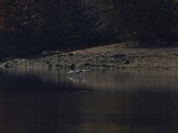 11-02-13-Rocky Gorge-2162