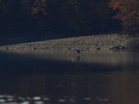 11-02-13-Rocky Gorge-2164