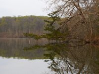 04-19-14-Rocky Gorge-2986