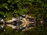 06-08-14-Rocky Gorge-West-5109