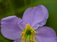 06-22-14-St Marys Lake-5864