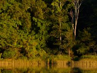 07-05-14-Nanjemoy