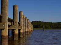 07-05-14-Nanjemoy-6950