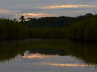 07-19-14-Wicomico Shores-7910