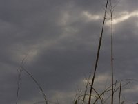 07-19-14-Wicomico Shores-7971