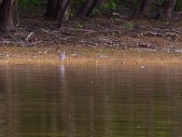 07-21-4-Tbone Triadelphia-8228